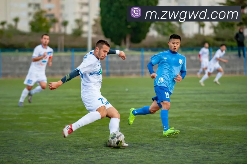 问鼎娱乐平台生态图